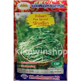 เมล็ดพันธุ์ ถั่วลันเตา โต้วเหมี่ยว (10 แถม1 คละได้)