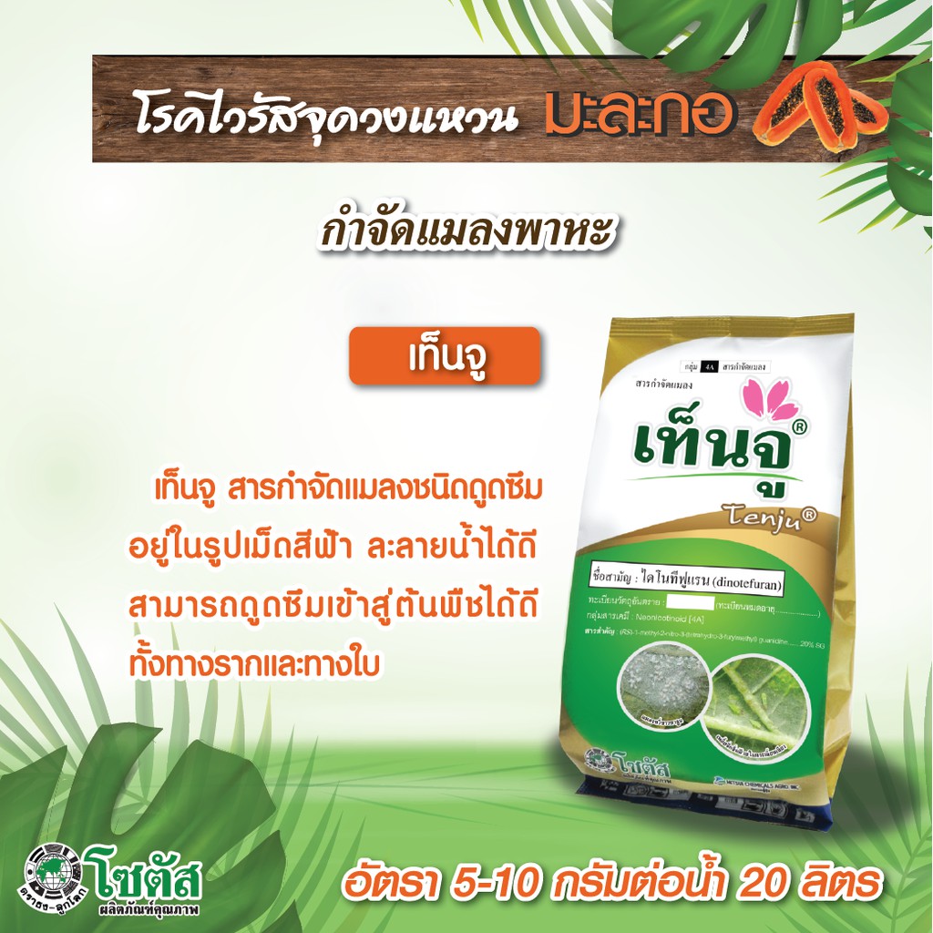 เท็นจู ขนาด 200 กรัม (ไดโนทีฟูแรน 20 % SG) กำจัดแมลงชนิดดูดซึม