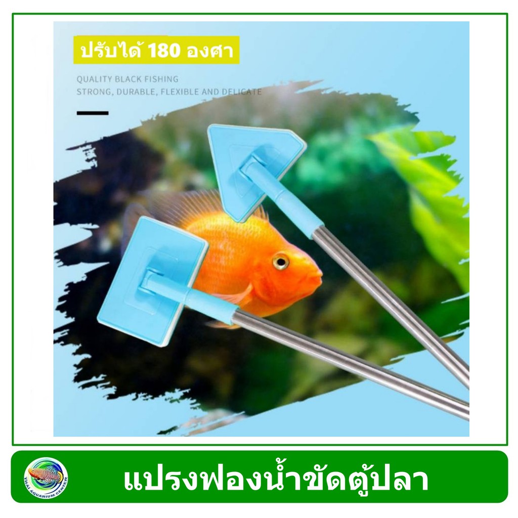 แปรงฟองน้ำขัดตู้ปลา แปรงขัดตู้ ฟองน้ำสี่เหลี่ยม / ฟองน้ำสามเหลี่ยม ด้ามสีฟ้า ปรับด้ามได้ 180 องศา Glass Cleaning Brush