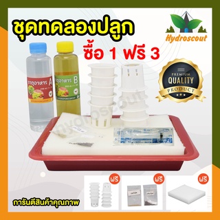 ชุดทดลองปลูกผักไฮโดรโปนิกส์ สุดคุ้ม แถมฟรีชุดรีฟิล by hydroscout