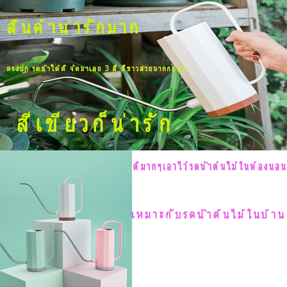 My Image 34
