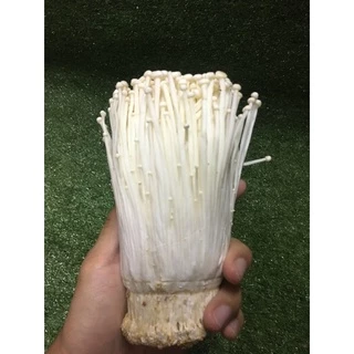เห็ดเข็มทองสด 🍄 - เห็ดหอมอร่อย ผักผลไม้