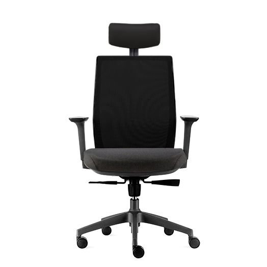 DF Prochair | เก้าอี้เพื่อสุขภาพ รุ่น Loop H