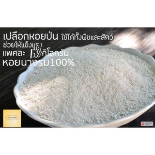 เปลือกหอยนางรมบดละเอียด100%แพคละ1kg