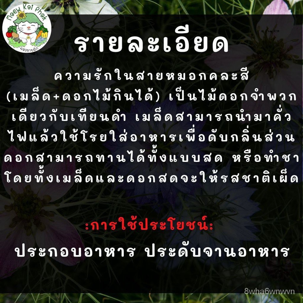 My Image 33
