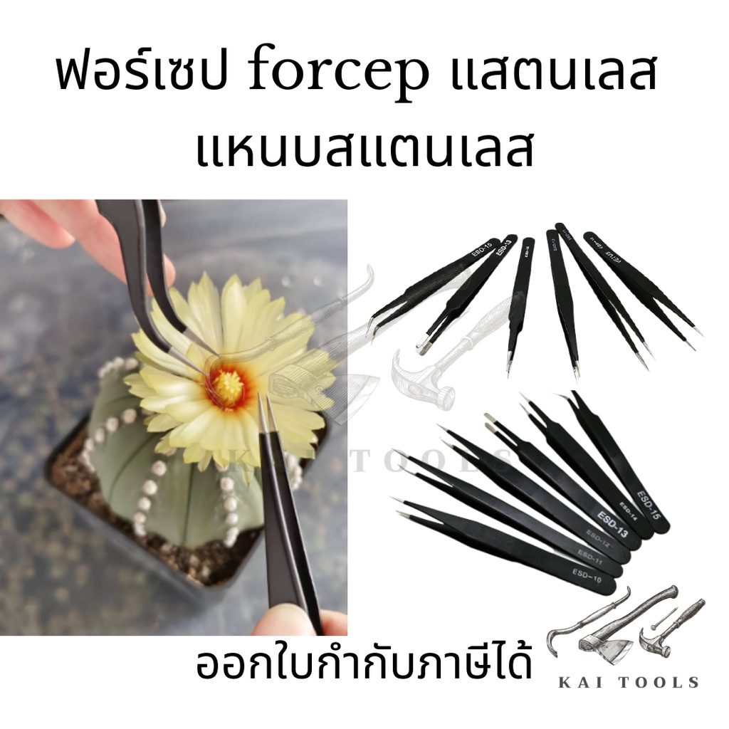 แหนบสแตนเลส แหนบ แหนบถอนขน ปากคีบ แหนบคีบ แหนบหนีบ แหนบปลายแหลมแหนบถอนขนฟอร์เซป forcep แสตนเลส สำหรั