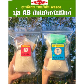 ปุ๋ย AB สำหรับผักไฮโดรโปนิกส์ ส่งฟรี