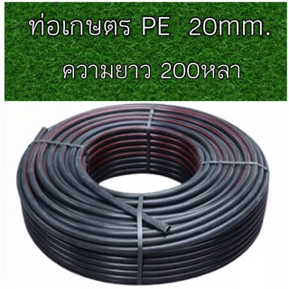 ท่อเกษตร ท่อPE 20mm. ท่อพีอี ยาว180เมตร