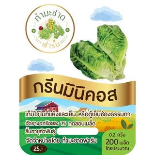 ทำมะชาดฟาร์ม (ซื้อ10แถม1) เมล็ดพันธุ์ กรีนมินิคอส ขนาด0.2กรัม ประมาณ200เมล็ด GREEN MINICOS ROMAINE LETTUCE เบบี้คอส