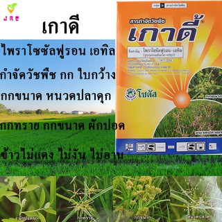 เกาดี้ 50กรัม ไพราโซชัลฟูรอน เอทิล กำจัดวัชพืชประเภทใบกว้าง ผักปอดนา  กก หนวดปลาดุก กกทราย กกขนาก แห้วหมู หนวดแมว  เทียน