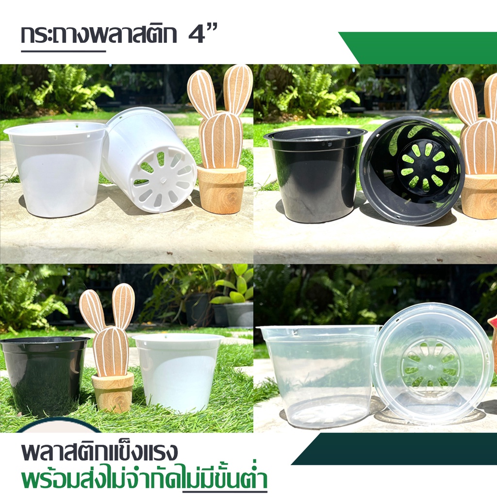 กระถางพลาสติก 4นิ้ว (ดำ ขาว ใส) / 2.5นิ้วใส พร้อมส่งจากไทย