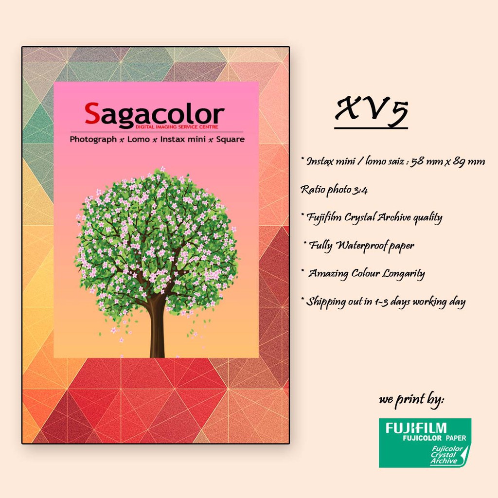 Lomo Print @ Saiz(10-100 ชิ้น)(XV 5 กรอบ)