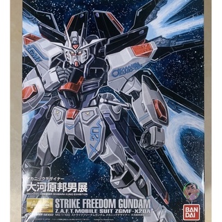 Bandai Gundam MG 1/100 Strike Freedom Gundam Model Kit