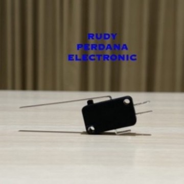 ไมโครสวิตช์ MICROSWITCH EXTRA LONG PLATE LIMIT