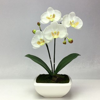 OrientalFineArt  ดอกกล้วยไม้ปลอม phalaenopsis จัดในกระถางดอกไม้เซรามิค(CR-360-W F9)