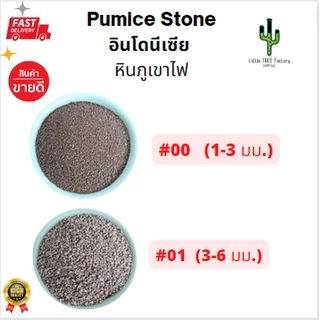 หินภูเขาไฟ Pumice Stone คัดเกรดอย่างดี ใช้โรยหน้ากระถาง ใช้ผสมดินปลูกกระบองเพชร บรรจุ 2 ลิตร