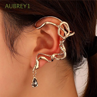 Aubrey1 ต่างหูตะขอ รูปงู ประดับพลอยเทียม อัลลอย Y2K สไตล์เกาหลี เรียบง่าย เข้ากับทุกชุด สําหรับผู้หญิง