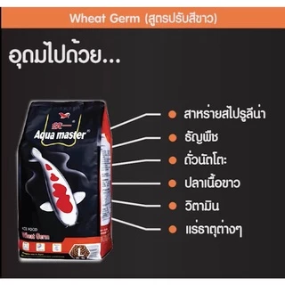 [10 Kg. / 20 Kg.] อาหารปลาคาร์ฟเกรดพรีเมี่ยม Aqua Master (อความาสเตอร์) ขนาดถุง 20กก.และ 10 กก. คละสูตรได้ มี 5 สูตร