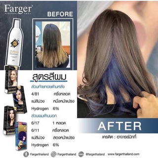 Farger เซตสีผมฟาร์เกอร์ สูตรสีแฟชั่นหลบใน [4/81+6/17+6/11+แม่สีม่วง]