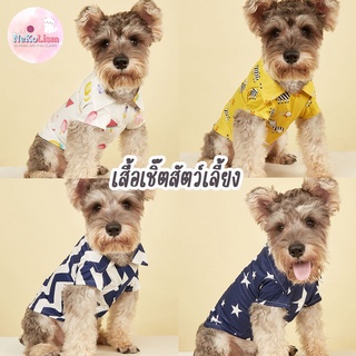 Pet Shirt เสื้อหมา ผ้าคอตตอน เสื้อเชิ๊ตสัตว์เลี้ยง หมา สุนัข