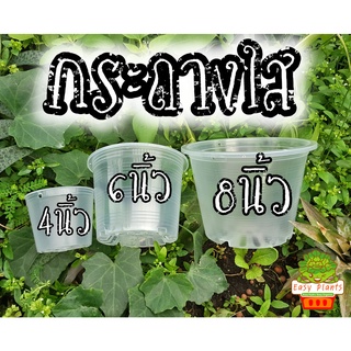 กระถางใส กระถางพลาสติกใส มองเห็นการเติบโตของราก พลาสติกคุณภา…