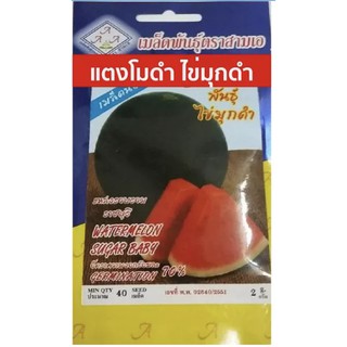 AAA 🇹🇭 ผักซอง A054# แตงโม พันธุ์ไข่มุกดำ เมล็ดพันธุ์ผัก เมล็ดพันธุ์ ผักสวนครัว ตราAAA สามเอ 3A