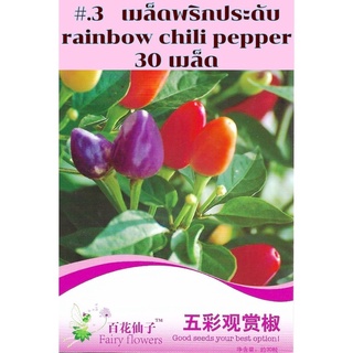 เมล็ด พริกประดับ สายพันธุ์ OP rainbow chili pepper จำนวน 30 เมล็ด