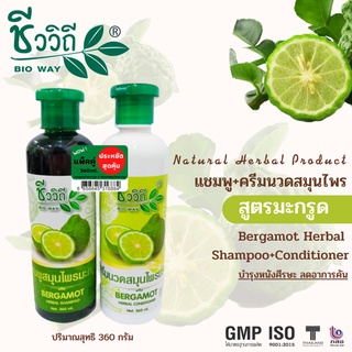 แชมพูสมุนไพรมะกรูด+ครีมนวดมะกรูด (360 มล./ขวด) แพ็คคู่ประหยัด-สุดคุ้ม ลดอาการคันหนังศีรษะ