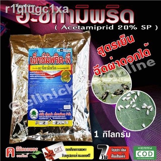 🔥 เอ็กซ์มิพริด-พี 🔥 อะเซทามิพริด อะซีทามิพริด โมแลน สารกำจัดแมลง ชนิดดูดซึม กำจัดแมลงได้กว้างขวาง เพลี้ยไฟ แมลงหวี่ขาว