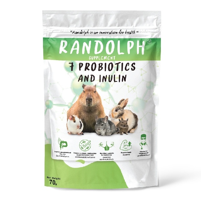 RANDOLPH แรนดอล์ฟ Probiotic โปรไบโอติกส์ ขนมเชิงสุขภาพทางเลือกสำหรับสัตว์กินพืชขนาดเล็ก ขนาด 30 กรัม. X 1 ถุง