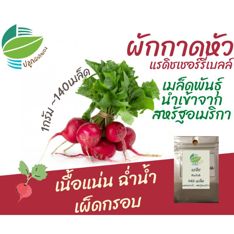 แรดิชเชอร์รี่้เบลล์ ~ 140 เมล็ด นำเข้าจาก USA