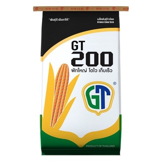 เมล็ดข้าวโพดเลี้ยงสัตว์ GT 200 (จีที 200) 3.5 หุน (10 กก.) ฝักใหญ่ โตไว เก็บเร็ว เหมาะสำหรับเก็บสด