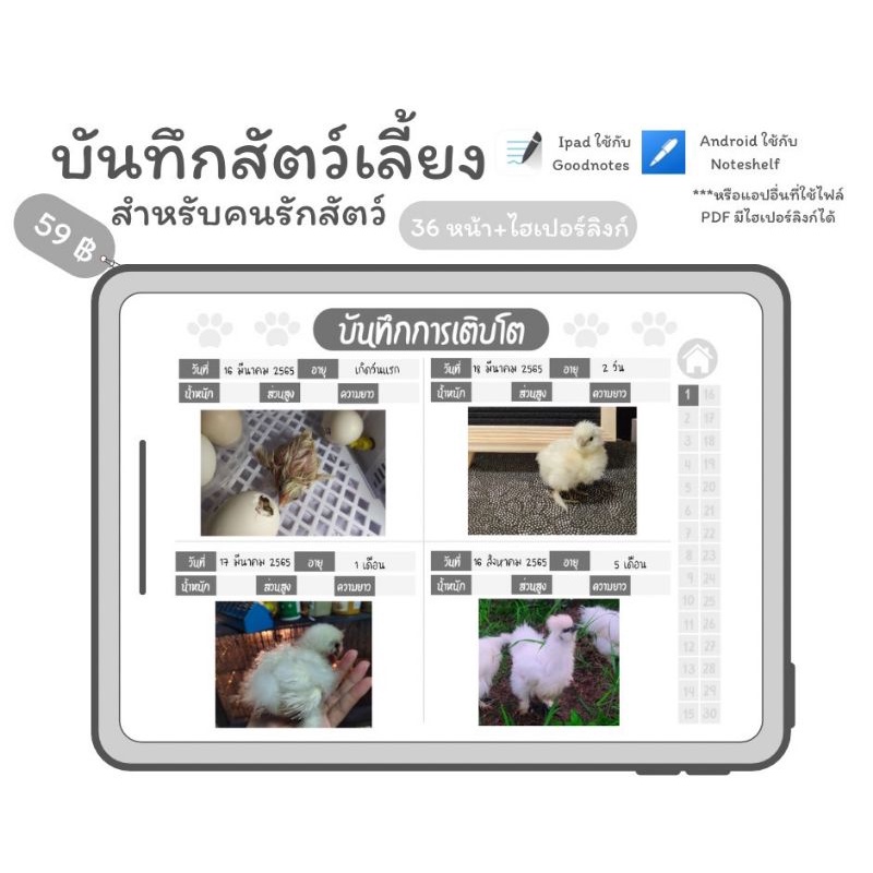 บันทึกสัตว์เลี้ยง(Goodnotes)