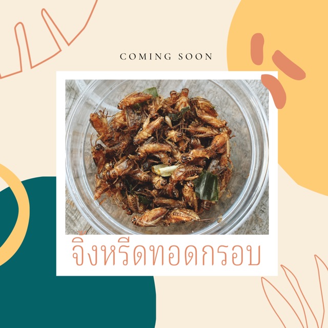 จิ้งหรีดทอดกรอบ (fried crickets)
