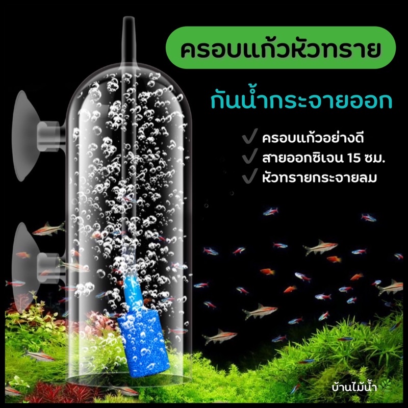 หัวทรายแก้ว แก้วครอบหัวทรายกันน้ำกระจายออก Air Stone Glass Cover