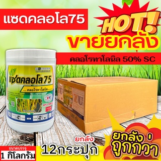 🌾 💥💥 สินค้ายกลัง 💥💥 แซดคลอโล75 (คลอโรทาโลนิล) ขนาด 1กิโลกรัมx12กระปุก ป้องกันกำจัดโรคราน้ำค้างที่มีสาเหตุจากเชื้อรา