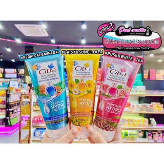 📣เพียวคอส📣Citra Perfume Lotion ซิตร้า โลชั่น น้ำหอม 200มล.(เลือกสูตร)