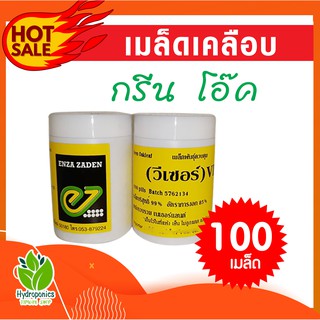 เมล็ดผักสลัด กรีนโอ๊ค แบบเคลือบ บรรจุ 100 เมล็ด