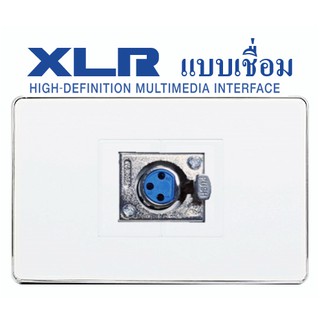 Wall Plate XLR (เดี่ยว)