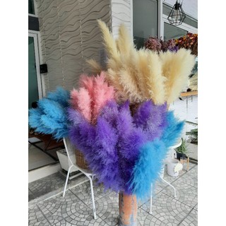 ดอกเลา หลากสี (ย้อมสี) ขนาด 90cm สีม่วง