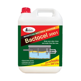 ลดแมลง ละลายไขมัน BACTOCEL 3001 5L ขนาดใหญ่ กำจัดกลิ่นเหม็นส้วม ท่อตัน กำจัดไขมันบ่อดัก ลดกลิ่น