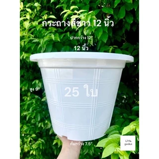 Little กระถางต้นไม้ 12 นิ้ว 25 ใบ(ดำเงาA+🖤) (สีขาวออร่าA+🤍)(สีอิฐ🧱)(สีใสA+💎)(Air pot🍀)