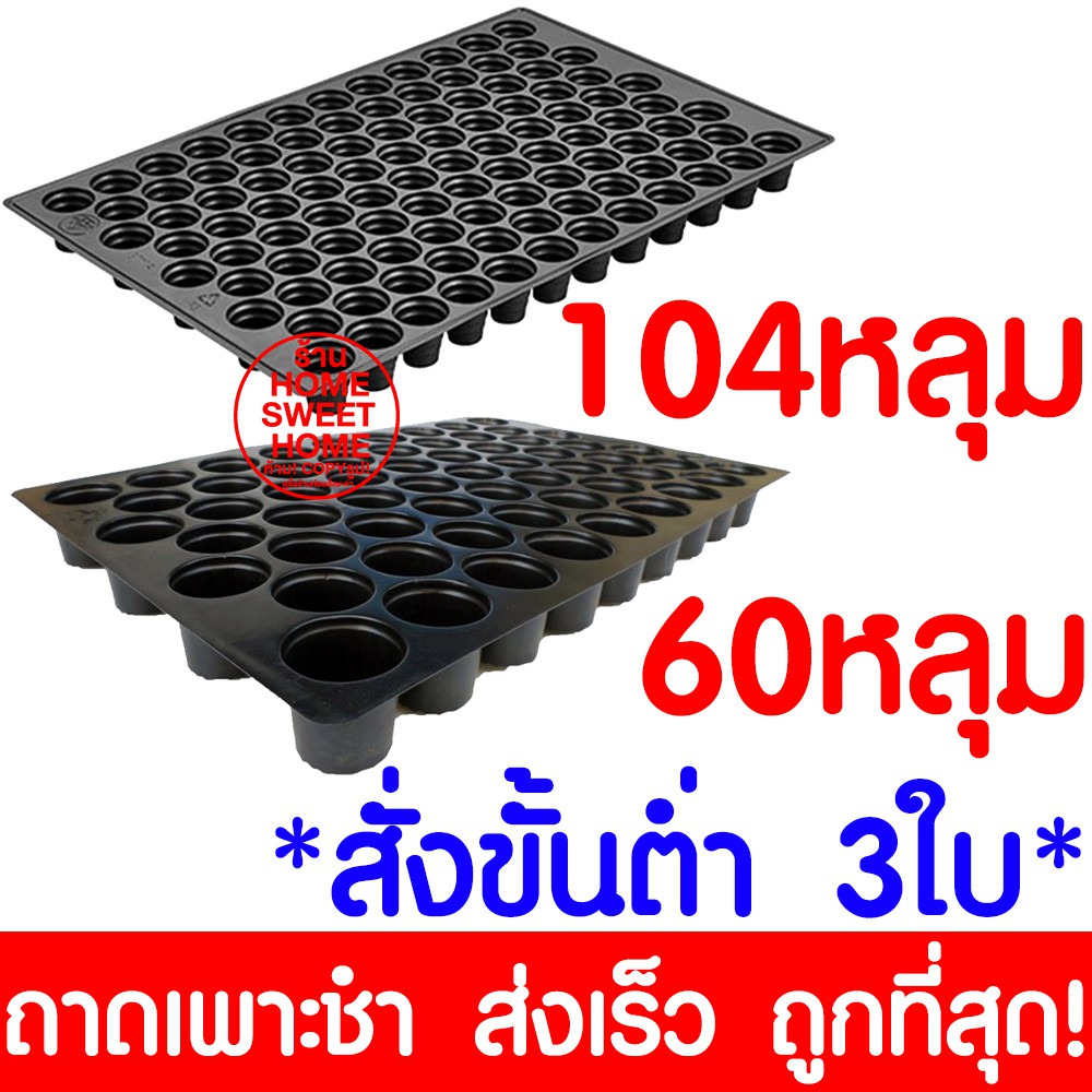 *ส่งเร็ว* ถาดเพาะกล้า ถาดเพาะชำ ถาดเพาะเมล็ด 60หลุม 104หลุม ต้นอ่อน ต้นกล้า เมล็ด ผัก สลัด คอส ผักกาด ร็อคเก็ต clearance