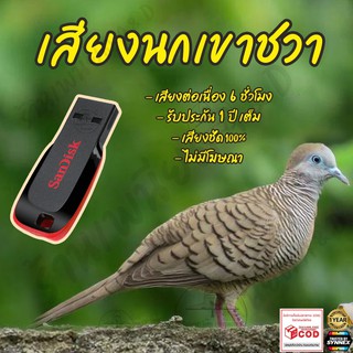 เสียงนกเขาชวา ยาว6ชั่วโมง ไม่มีโฆษณา แฟลชไดร์ฟ(Flash Drive) มีเก็บเงินปลายทาง