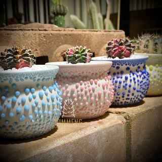 กระถางเซรามิคแฮนเมค Ceramic Handmade