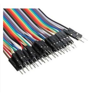 40 p 1 Pin Male to Female Jumper Cable 20 cm Long