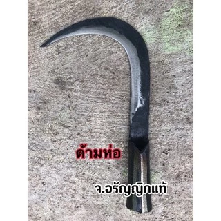 ขอกระชาก กระชากกิ่งไม้ กระชากใบตอง ขอชัก มีหลายขนาด มีดอรัญญิก จ้อย อรัญญิกแท้