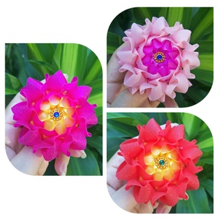🌷เหรียญโปรยทาน🌷 ดอกวาสิฏฐี(ตัวเปล่า)ริบบิ้นกากเพชร