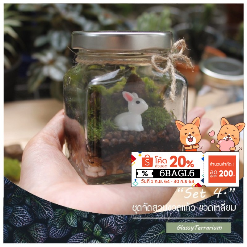 ชุดจัดสวนขวดแก้ว ทรงเหลี่ยม Terrarium Set 4 ชุดจัดสวนขวด ครบเซ็ตพร้อมส่ง