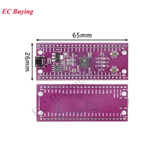 บอร์ดไมโครคอนโทรลเลอร์ W806 W801 W800 32-bit SOC W801-C400 W806-C200 WiFi บลูทูธ IoT MCU